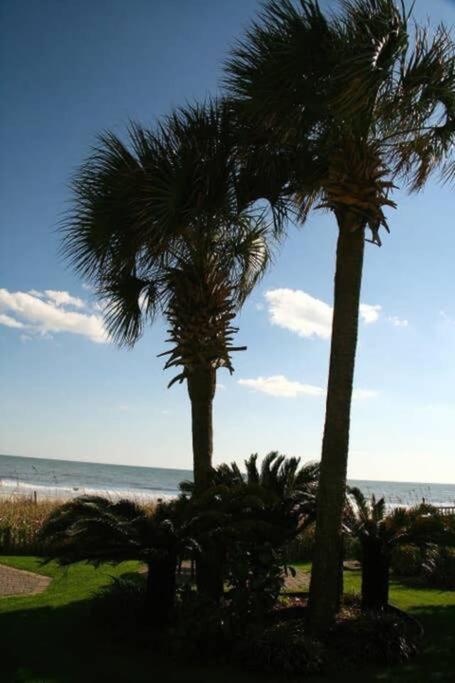 *Renovated Oceanfront Condo*Queen Beds*Pools*Hot Tubs*More*P220 เมอร์เทิลบีช ภายนอก รูปภาพ